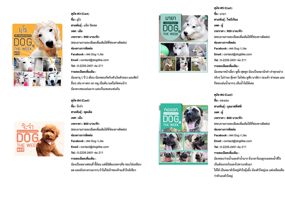 Presentation - Presentation ตามสไตล์ | เข้าใจง่าย | ไม่น่าเบื่อ | - 11