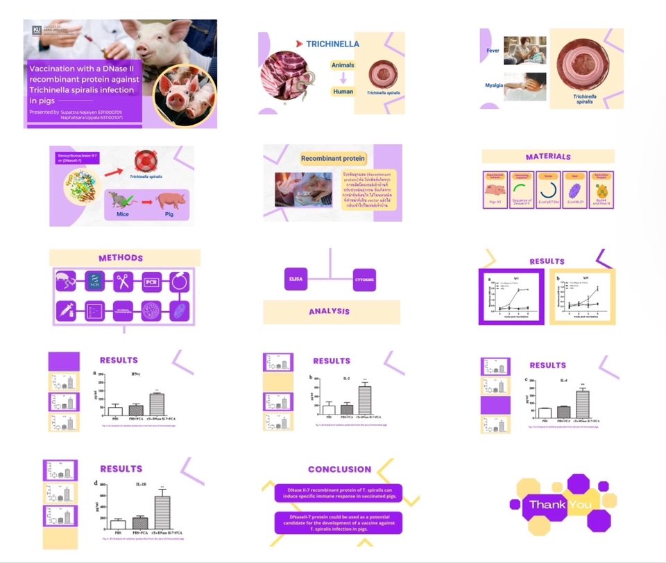 Presentation - รับทำ Presentation ทุกรูปแบบ - 6