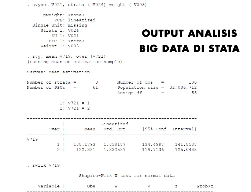 Analisis Data - Analisis Data | Univariat/Bivariat/Multivariat | Skripsi & Tesis | SPSS/STATA | Sederhana/Big Data - 4