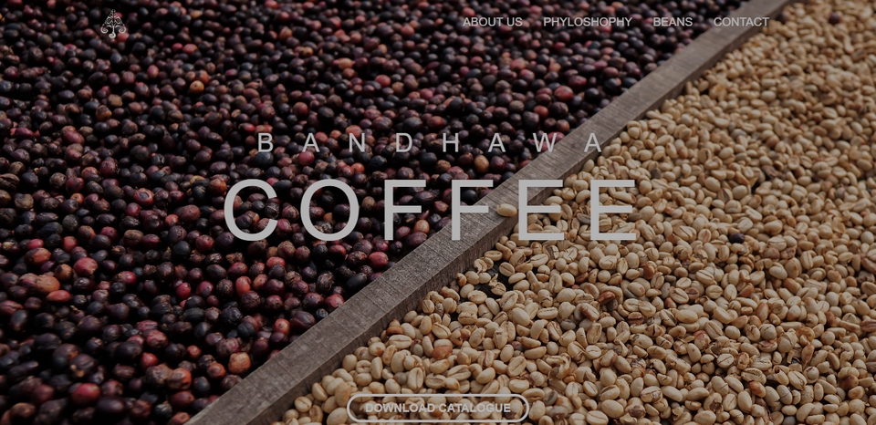 Web Development - Website Company Profile / Website CMS - 9