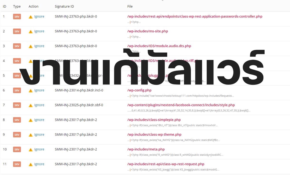 ทำเว็บไซต์ wordpress ตรวจสอบแก้ไขมัลแวร์บนเว็บไซต์ เพื่อความปลอดภัยและความเสถียรของเว็บไซต์ของคุณ