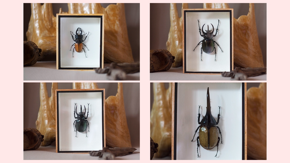 Photography - รับถ่ายภาพสินค้าพื้นหลังขาว แถมฟรีไดคัท / Artwork - 8