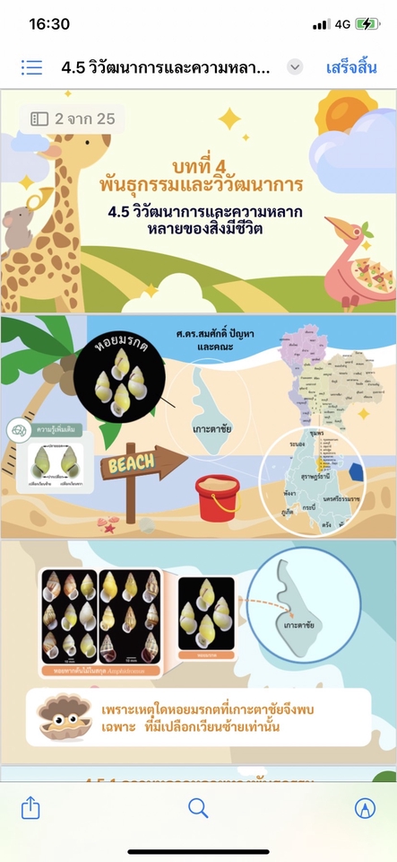 Presentation - Presentation - 8