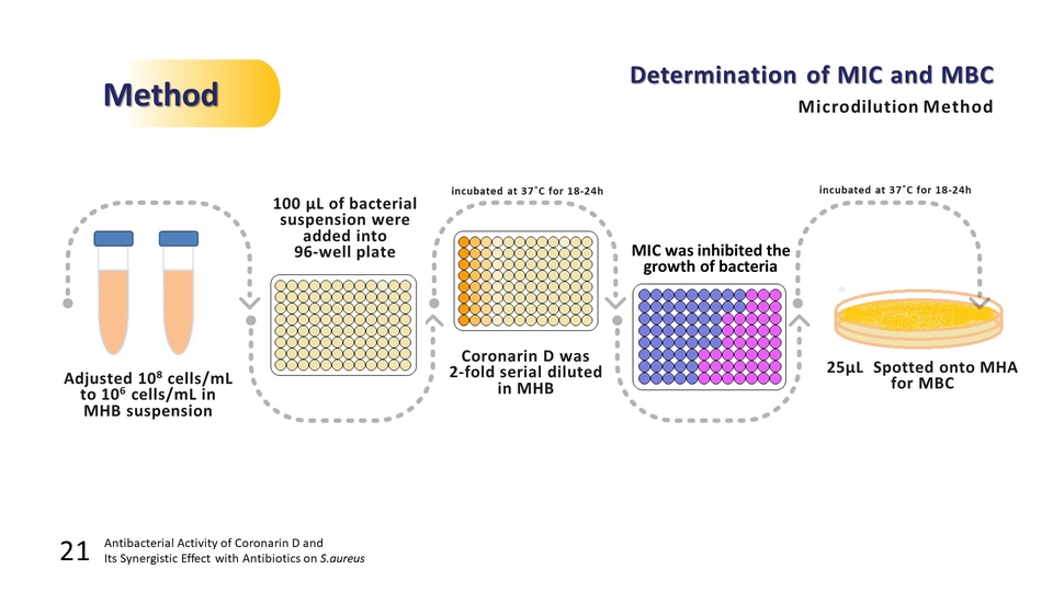 Presentation - Presentation สำหรับงานทางวิชาการ - 1
