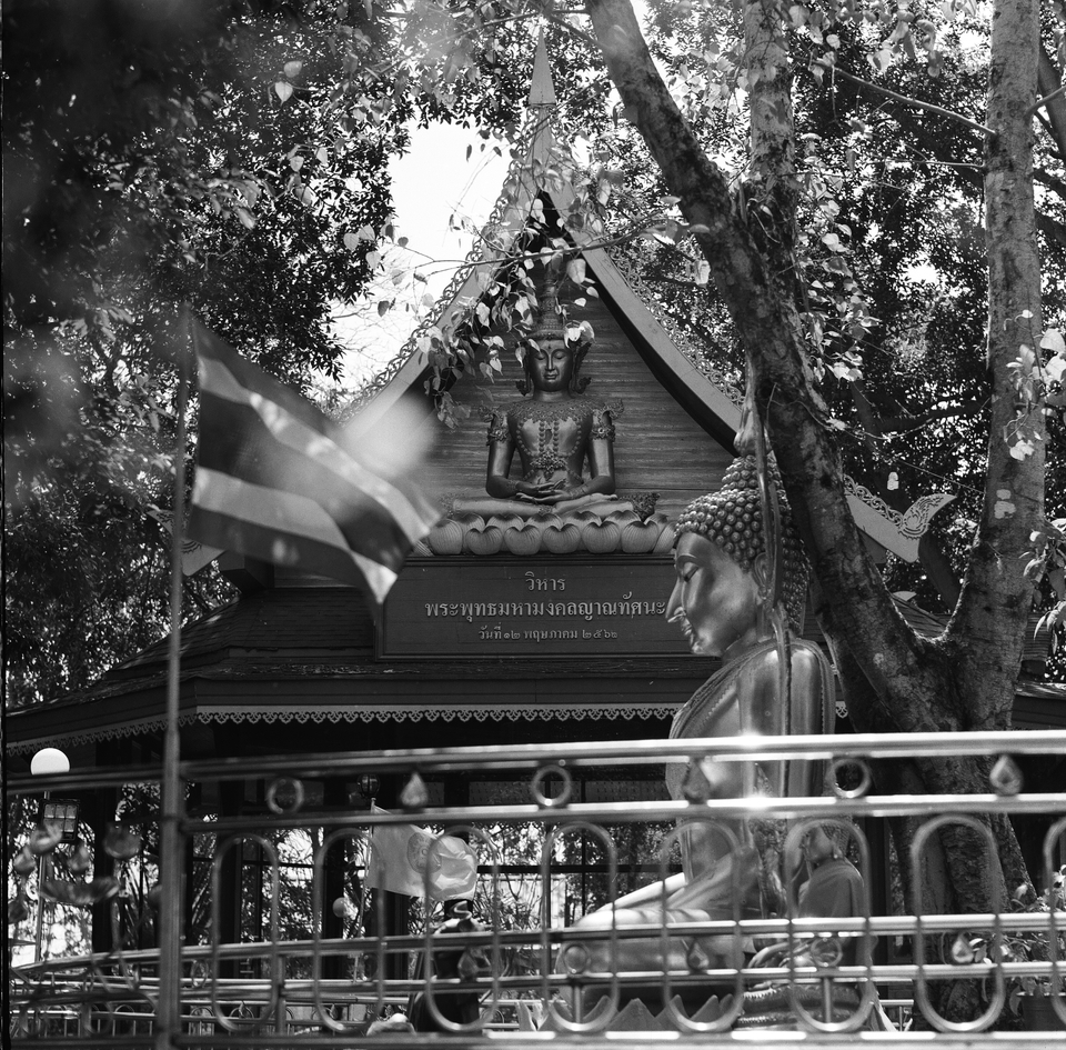 อื่นๆ - เที่ยวเป็นเพื่อน Day trip ถ่ายรูปกล้องฟิล์ม - 10