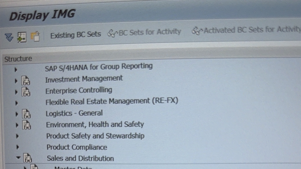 ผู้เชี่ยวชาญให้ความรู้เฉพาะด้าน - รับจ้างสอน SAP Fundamental and SAP SD Module - 1
