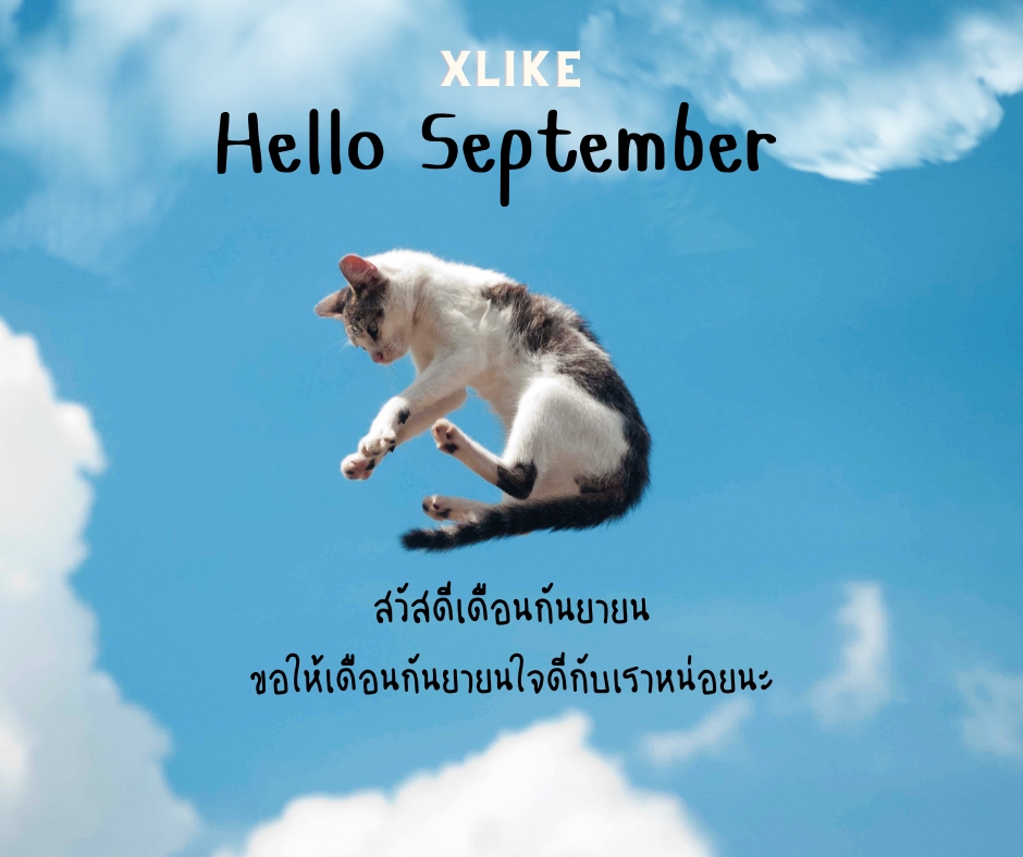 รับงานแอดมิน ดูแลเพจ facebook รับตอบแชทลูกค้า รับดูแลร้านค้าออนไลน์