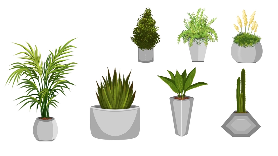 ของขวัญแฮนเมด ต้นไม้ในกระถาง