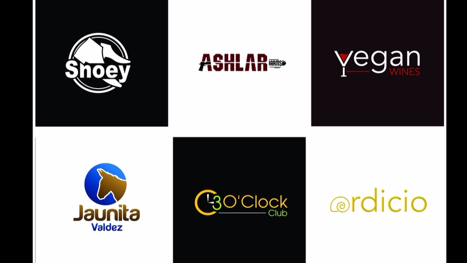 Logo - I Will Do Professional Logo Creation - 4