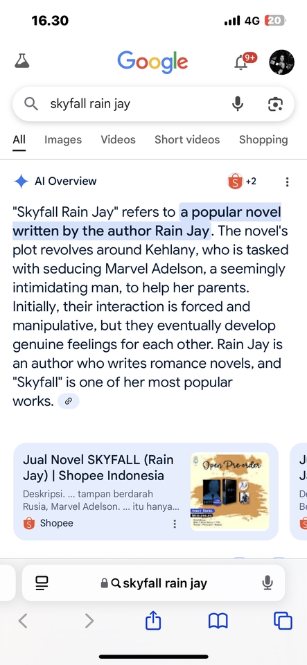 Jasa penulis novel Skyfall Rain Jay, copywriting Indonesia, jasa penulis artikel, penulis novel, novel romantis