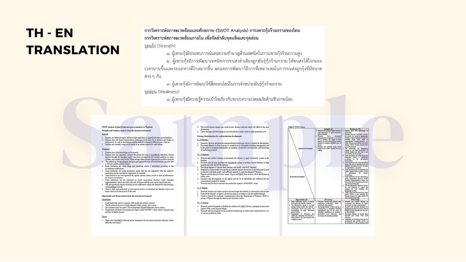 แปลภาษา - แปลเอกสารวิชาการ ENG-TH/TH-ENG ผู้แปลจบป.โท สถาบันนานาชาติ AIT - 2