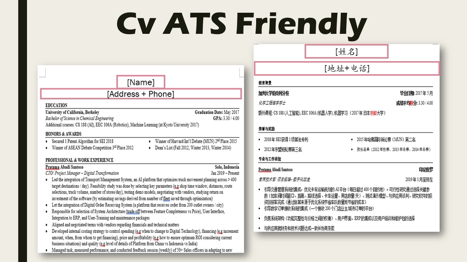 Portfolio & Resume - Desain CV 3 Bahasa, 1 Hari Jadi - 3