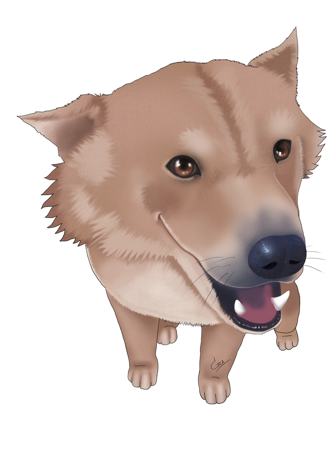 รับวาดภาพเหมือน การ์ตูน สุนัข น่ารัก