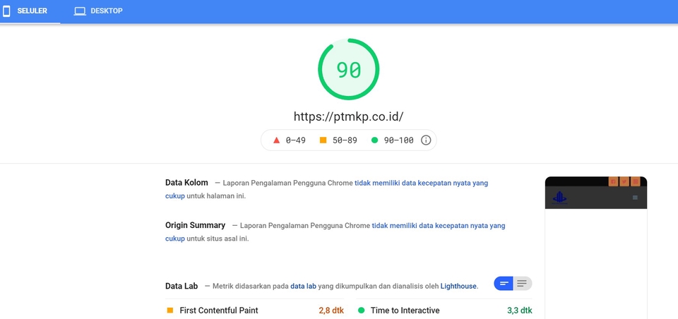 Web Development - Optimasi Kecepatan / Pagespeed WordPress (1x24jam) - 4