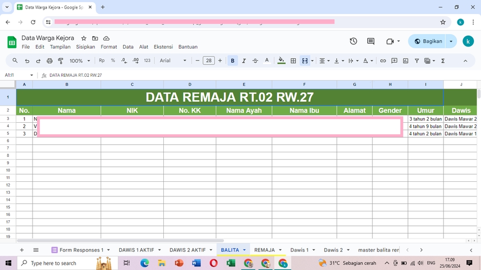 Jasa data entry excel untuk mengumpulkan data remaja RT 02 RW 27 pada tabel spreadsheet