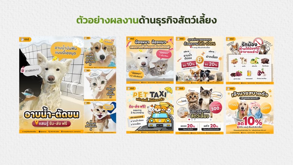ออกแบบแบนเนอร์ Facebook Instagram ออกแบบแบนเนอร์ โปรโมชั่น สินค้า สัตว์เลี้ยง ออกแบบแบนเนอร์ ออนไลน์