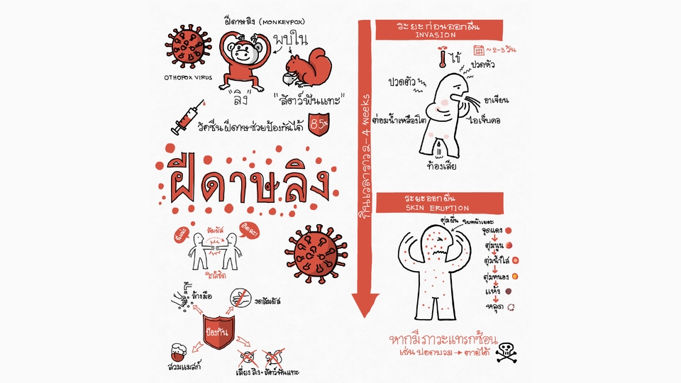 Infographics - Hand-Drawn Infographic - 11