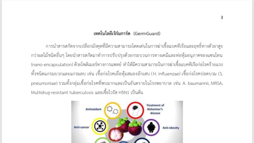 พิมพ์งาน และคีย์ข้อมูล - รับพิมพ์งานด่วน word / excel / power point - 2