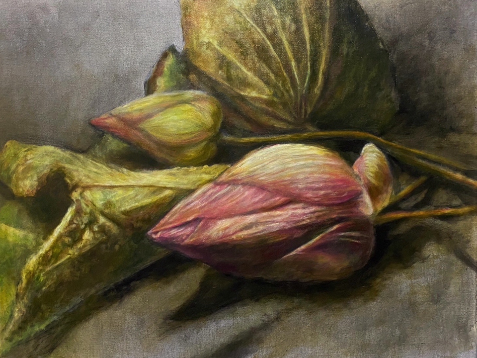 รับวาดภาพเหมือน สีน้ำ ภาพวาดดอกบัว ภาพวาดดอกไม้ สวยงาม