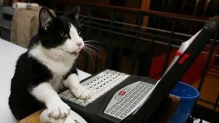 พิมพ์งาน และคีย์ข้อมูล - พิมพ์เอกสารด่วน คีย์ข้อมูล - 1