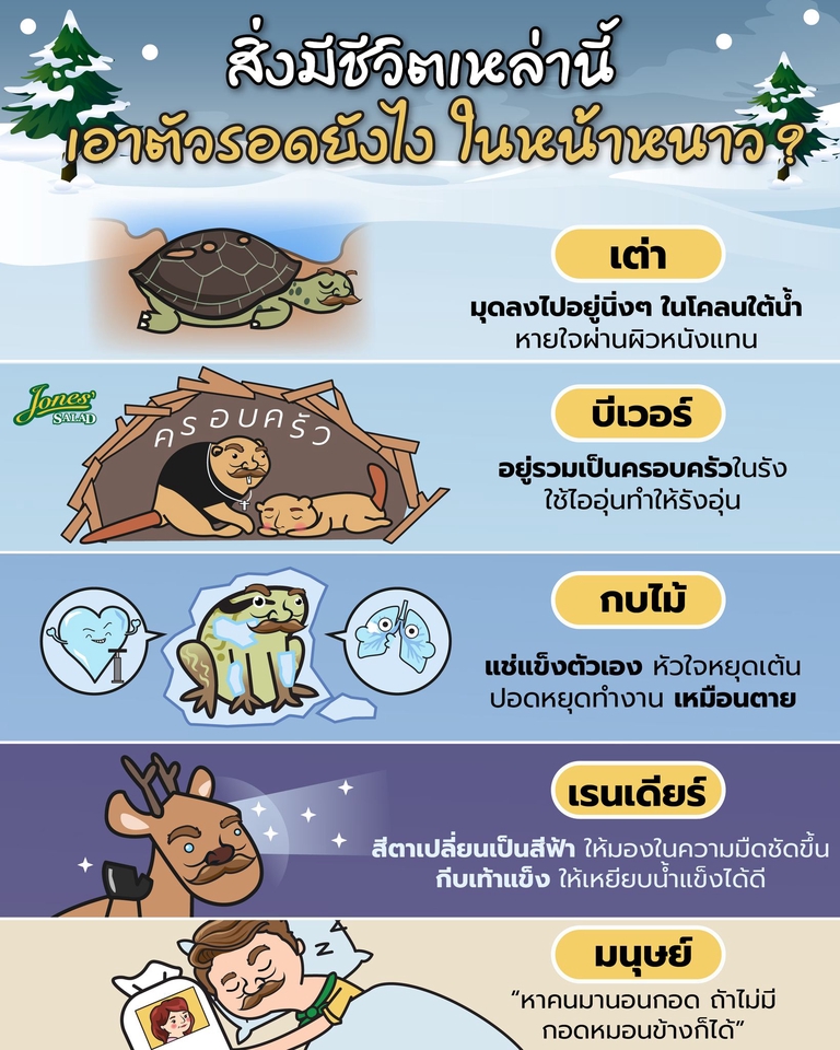 เขียนบทความ - เขียน บทความทั่วไป บทความ SEO, เขียน caption Facebook Ads - 8