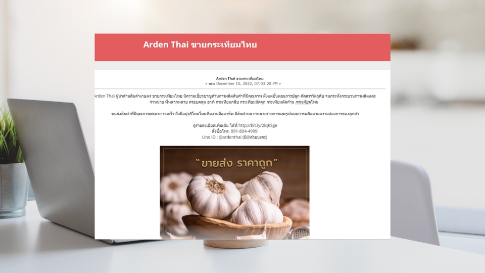 ทำ SEO - 🌈บริการโพสเว็บบอร์ด 250 เว็บ + เพิ่มทราฟฟิคจำนวนคนเข้า Website 1000ip (ในประเทศไทย) - 6