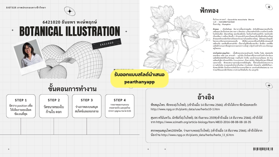 Presentation - รับออกแบบสไลด์นำเสนอ(Presentation) ตามสไตล์ที่คุณต้องการ - 6