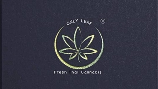 Logo - LOGO Premium โลโก้ไสตล์พรีเมียม เพิ่มมูลค่าให้แบรนด์ของคุณ - 2