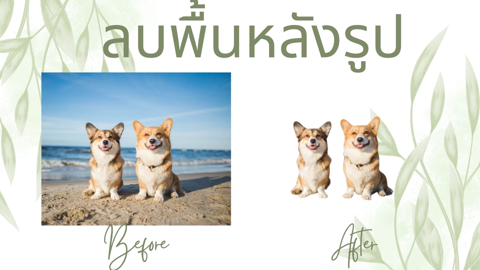 ไดคัท & Photoshop - diecut ลบแบคกราวน์ ลบพื้นหลัง สินค้า คน สัตว์เลี้ยง ใส่พื้นหลังใหม่ รูปแรก ขายของออนไลน์ - 1
