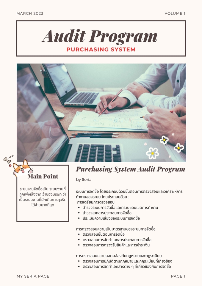 อื่นๆ - รับเขียน Audit Program - 3