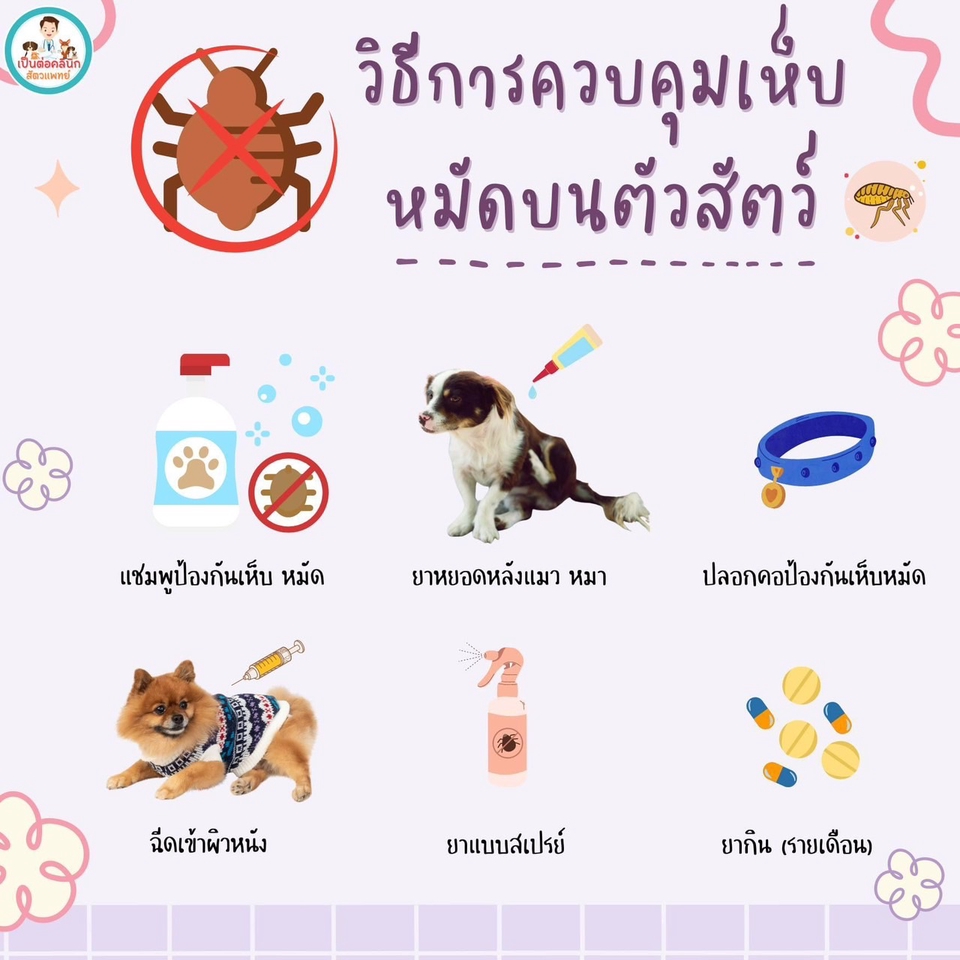 สื่อสิ่งพิมพ์และนามบัตร - รับออกแบบ รับทำโปสเตอร์  โฆษณา นามบัตร และอื่นๆ (ปรับแก้งานได้จนกว่าลูกค้าจะพอใจ) - 12