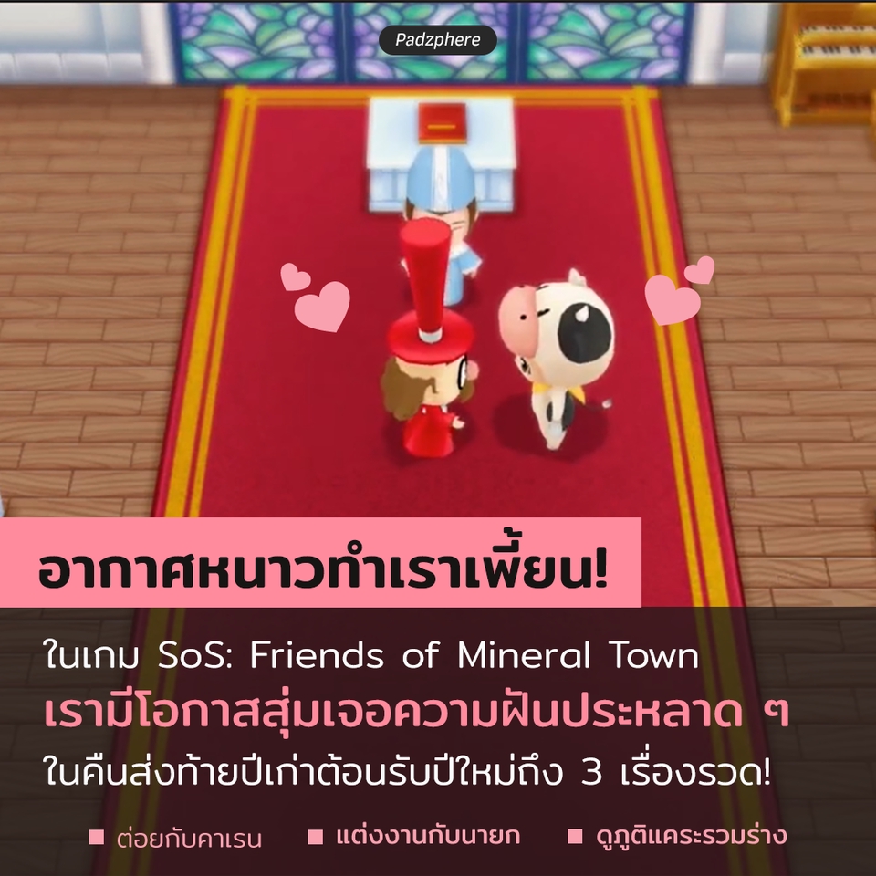 เขียนบทความ - เขียนนิยาย / เขียนบทความ / เขียนสคริปต์ Creative [Facebook, Website, Tiktok, Shorts, Reels] - 19