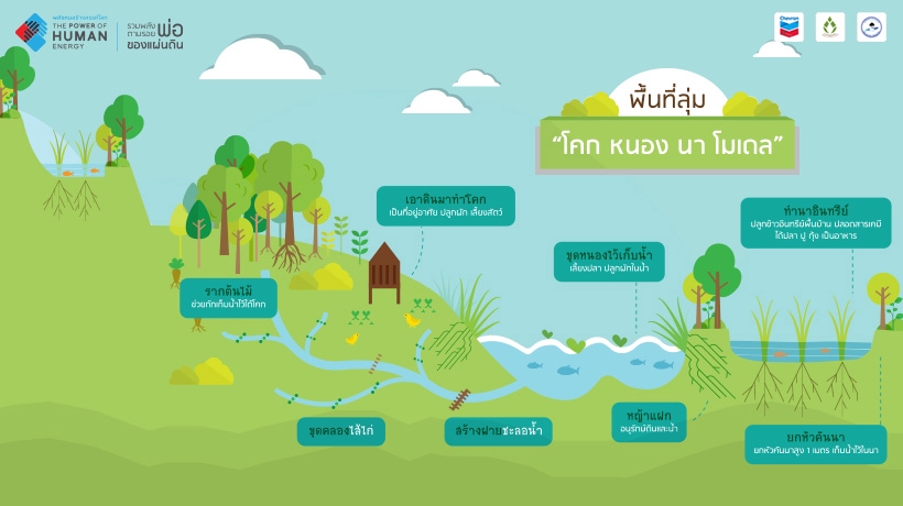 ออกแบบตกแต่งภายในและภายนอก - ออกแบบบ้านสวนเกษตร // ทำแบบก่อสร้าง BIM , As-built , BOQ - 8