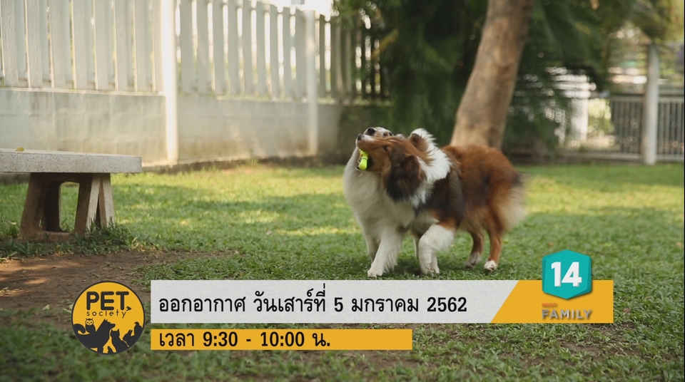 ถ่ายและตัดต่อวีดีโอ - รับถ่ายวีดิโอ+ภาพมุมสูง+ตัดต่อ+กราฟฟิก งานวิดีโอทุกประเภท - 7