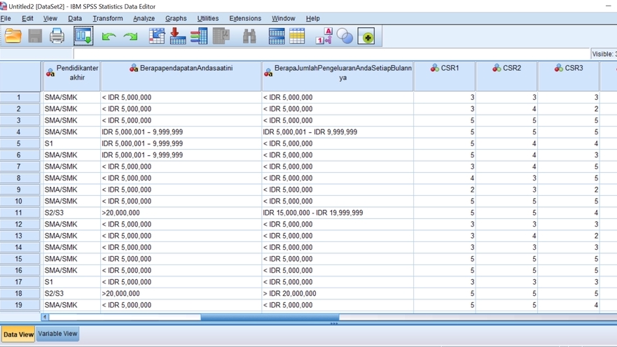 Jasa Analisis Deskriptif Statistik SPSS - Olah Data Statistik untuk menganalisis data Anda