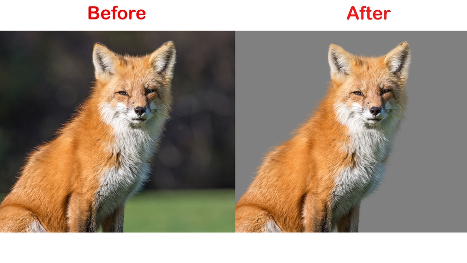 ไดคัท & Photoshop - ไดคัทภาพ > รีทัชภาพ > เปลี่ยนสีผิว > แต่งภาพ > ลบสิ่งที่ไม่ต้องการออกจากภาพ > ทำภาพตัดแปะ - 3