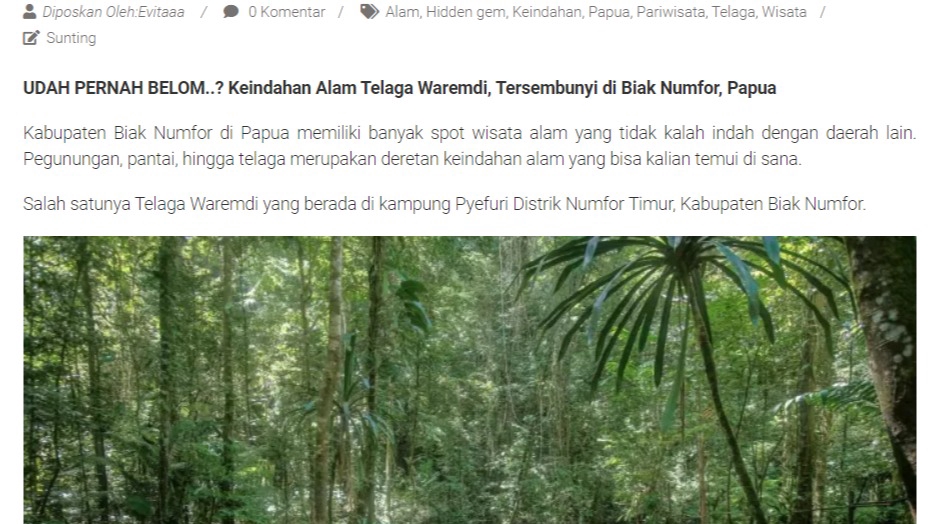 Penulisan Konten - Pembuatan Artikel SEO Untuk Blog, Website - 1