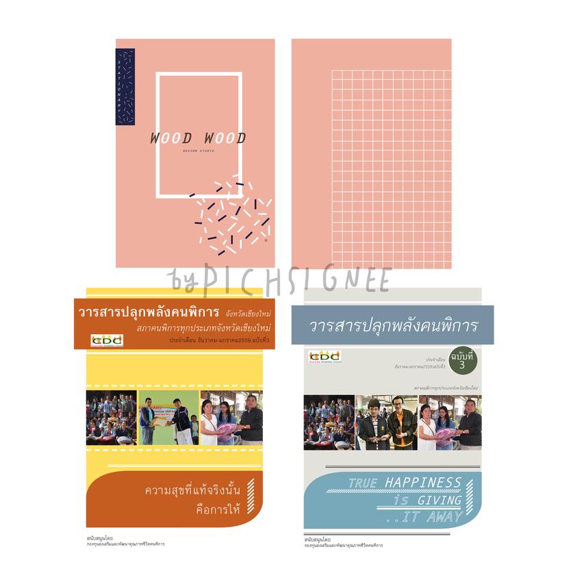 สื่อสิ่งพิมพ์และนามบัตร - รับออกแบบสื่อสิ่งพิมพ์ booklet โบร์ชัวร์ โปสเตอร์ นามบัตร - 5