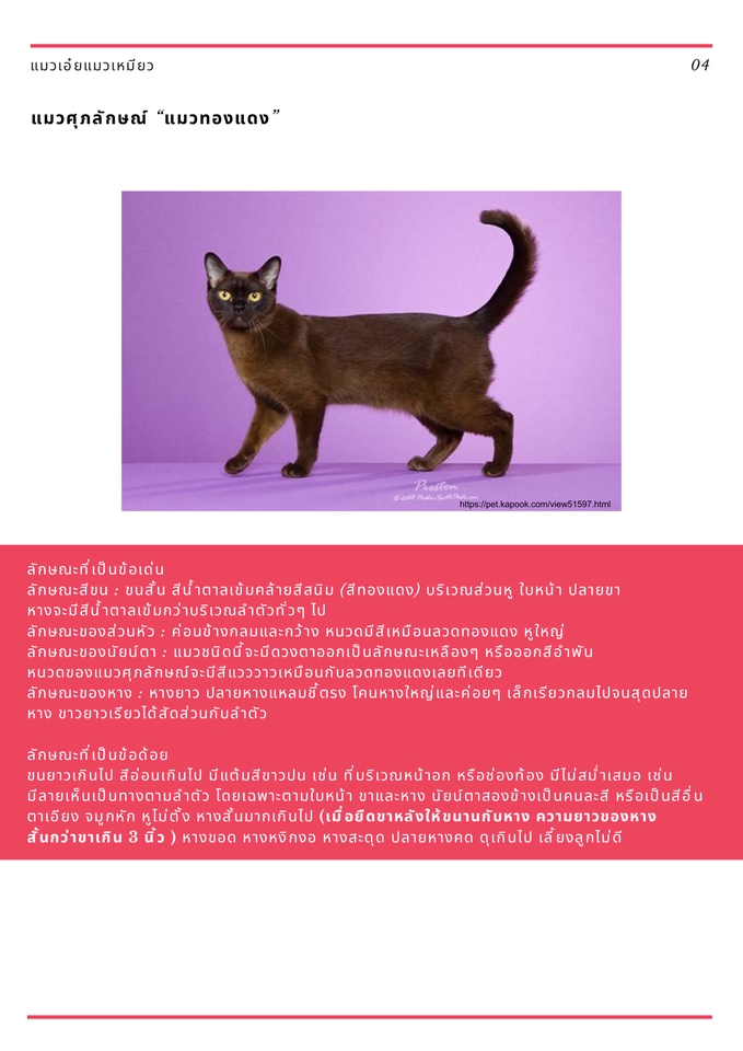 รับพิมพ์งาน รับพิมพ์งานด่วน รับพิมพ์เอกสาร รับพิมพ์งานทั่วไป