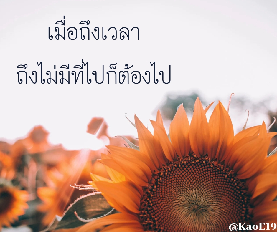 สื่อสิ่งพิมพ์และนามบัตร - รับออกแบบโลโก้ สื่อสิ่งพิมพ์ นามบัตร สื่อประชาสัมพันธ์ - 6