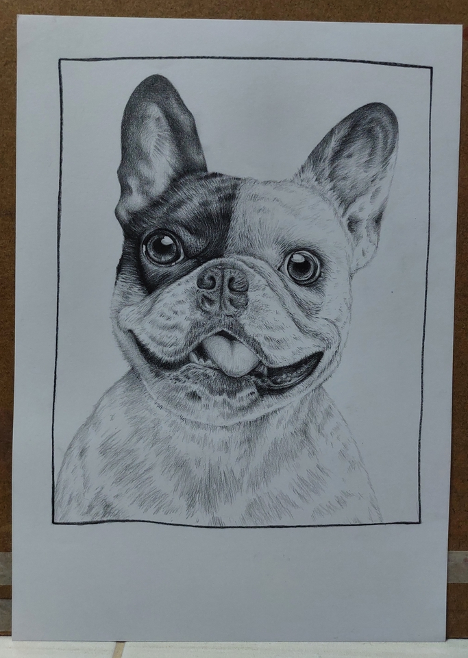 วาดภาพเหมือน Portrait - รับวาดภาพเหมือน(คน/สัตว์) - 18
