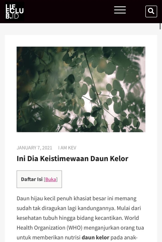 Penulisan Konten - Penulisan Artikel untuk Website (Ide Original) - 3