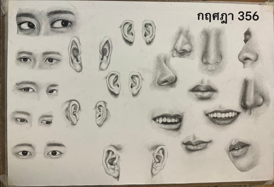 รับวาดภาพเหมือน portrait ดวงตา ปาก จมูก ใบหู