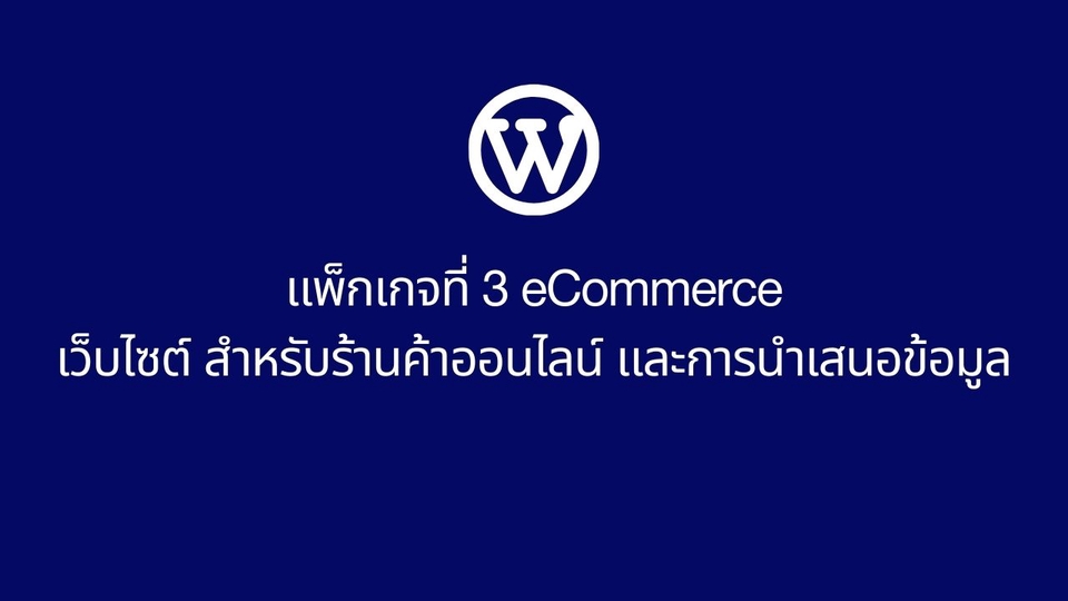 Wordpress - รับทำ และ ออกแบบเว็บไซต์ Website WordPress Sale Page eCommerce SEO เซลเพจ หน้าเดียว ร้านค้าออนไลน์ - 6