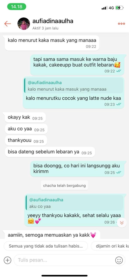 Jasa admin Instagram online shop, balas chat, kelola website, update website, layanan pelanggan.