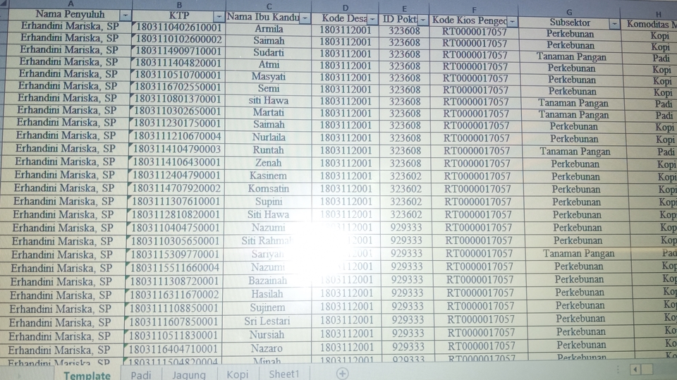 Entri Data - Entri Data (Google Spreadsheet, Excel, etc) - 2