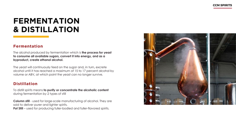 Presentation - รับงานด่วน!! ออกแบบ PowerPoint / Presentation งานทั่วไป งานวิจัย งานธุรกิจ - 4