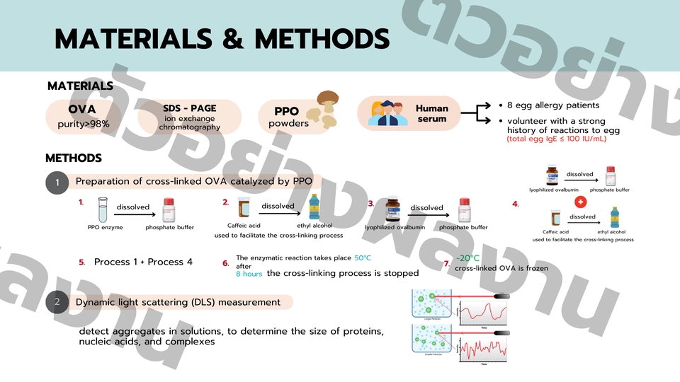 Presentation - งานออกแบบจัดทำ presentation - 4