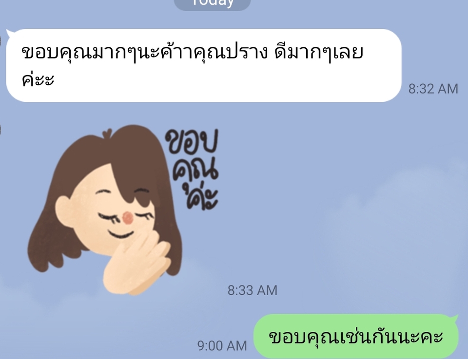 แปลภาษา - รับแปลงานภาษาไทยและอังกฤษทั้งเนื้อหาวิชาการและทั่วไปโดยผู้มีประสบการณ์ด้านการเขียนและแปล - 6