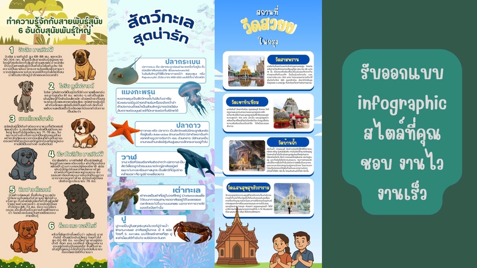 รับทำ infographic สไตล์น่ารัก ออกแบบ infographic สวยงาม ราคาถูก